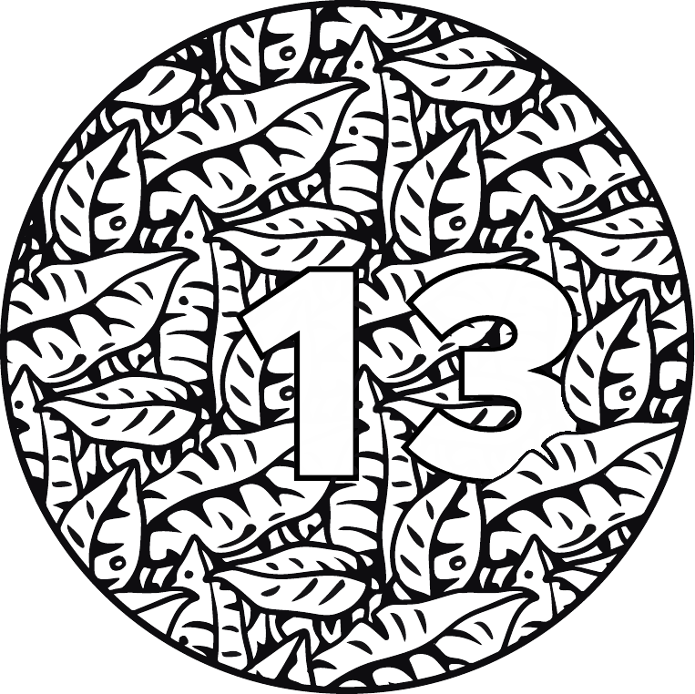 13 Drunken Botanicals