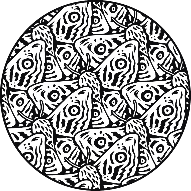 Hibiscus Flower Elixir