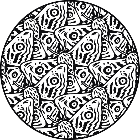 Hibiscus Flower Elixir